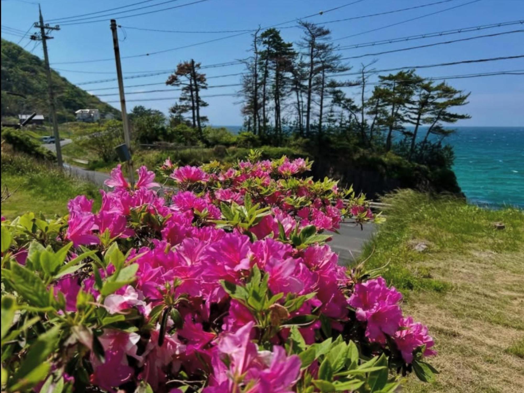 レンタルコテージサントロペ 京丹后市 外观 照片